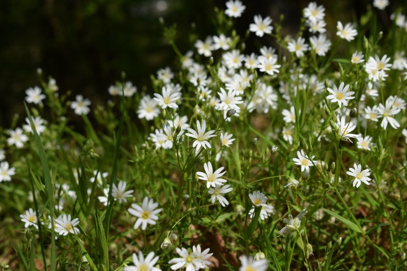 Profilbild von Georg Schoth