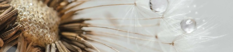 Profilbild von Margarete Kronimus