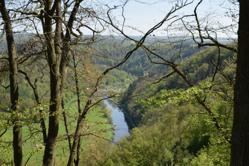 Profilbild von Wilfried Strack